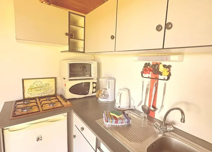 D'artagnan A La Ferme * Pouylebon